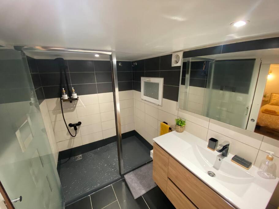 Charmant Appartement - Proche Chateau Cite Каркасон Екстериор снимка