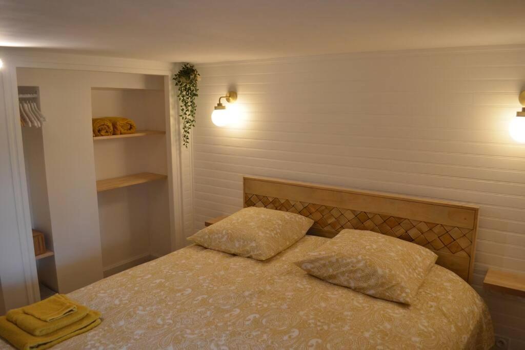 Charmant Appartement - Proche Chateau Cite Каркасон Екстериор снимка