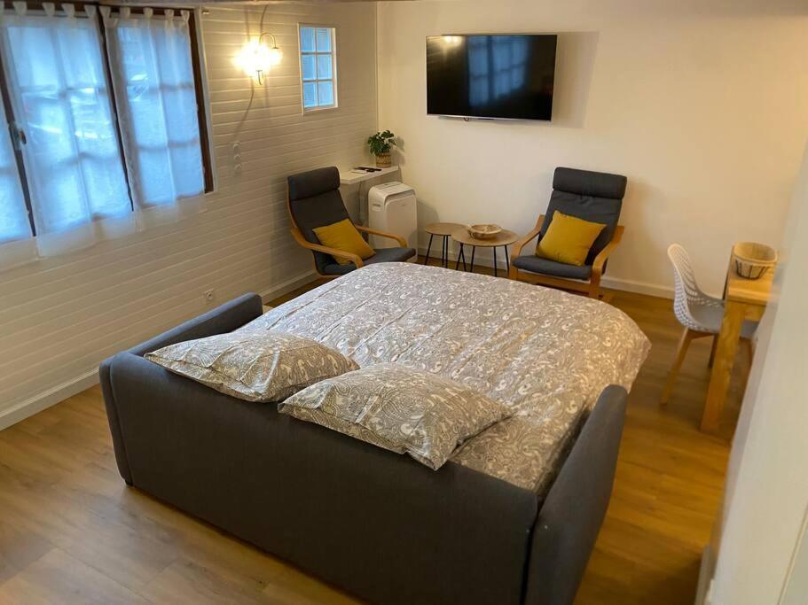 Charmant Appartement - Proche Chateau Cite Каркасон Екстериор снимка