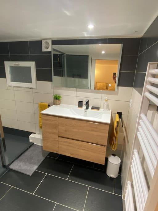 Charmant Appartement - Proche Chateau Cite Каркасон Екстериор снимка